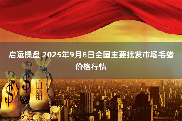 启运操盘 2025年9月8日全国主要批发市场毛猪价格行情