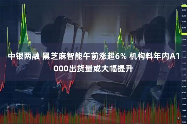 中银两融 黑芝麻智能午前涨超6% 机构料年内A1000出货量或大幅提升