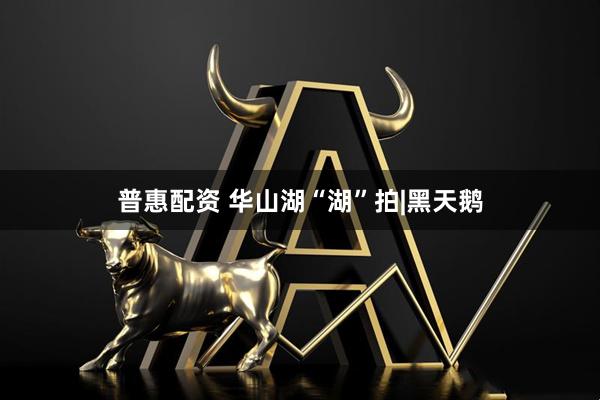 普惠配资 华山湖“湖”拍|黑天鹅
