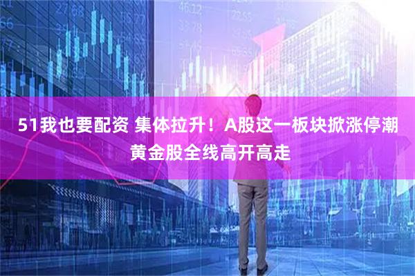 51我也要配资 集体拉升！A股这一板块掀涨停潮 黄金股全线高开高走