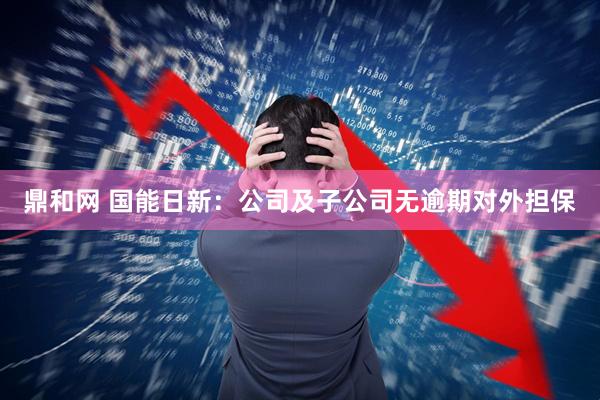 鼎和网 国能日新：公司及子公司无逾期对外担保