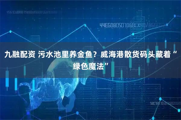 九融配资 污水池里养金鱼？威海港散货码头藏着“绿色魔法”