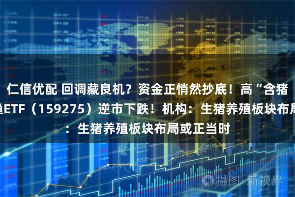 仁信优配 回调藏良机？资金正悄然抄底！高“含猪量”农牧渔ETF（159275）逆市下跌！机构：生猪养殖板块布局或正当时