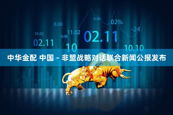 中华金配 中国－非盟战略对话联合新闻公报发布