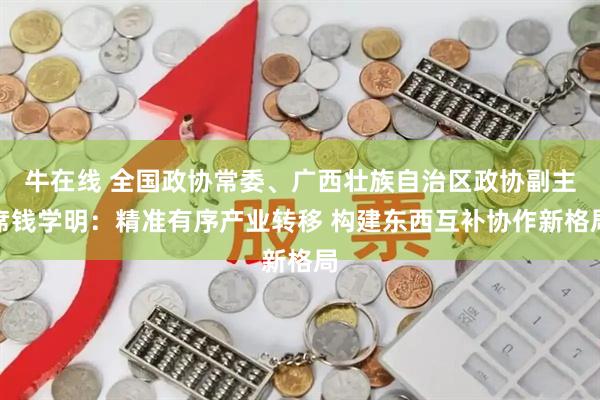 牛在线 全国政协常委、广西壮族自治区政协副主席钱学明：精准有序产业转移 构建东西互补协作新格局