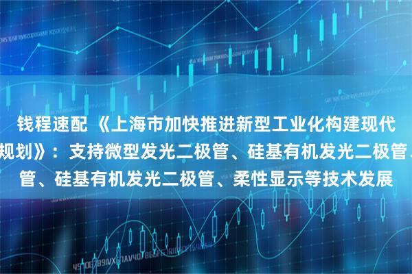 钱程速配 《上海市加快推进新型工业化构建现代化产业体系“十五五”规划》：支持微型发光二极管、硅基有机发光二极管、柔性显示等技术发展